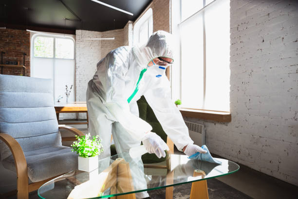 Best Emergency Mold Remediation in USA